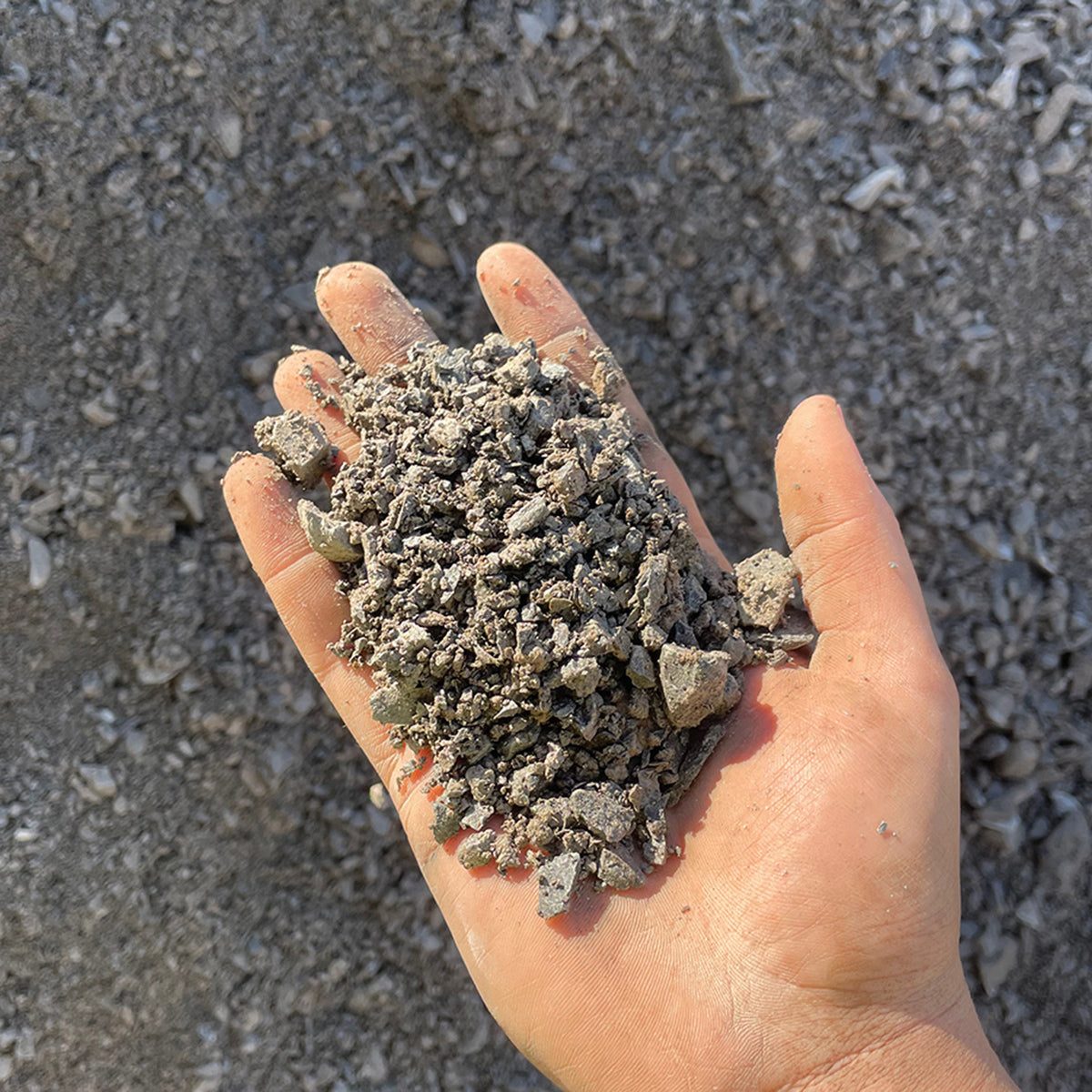 Crush and run near me